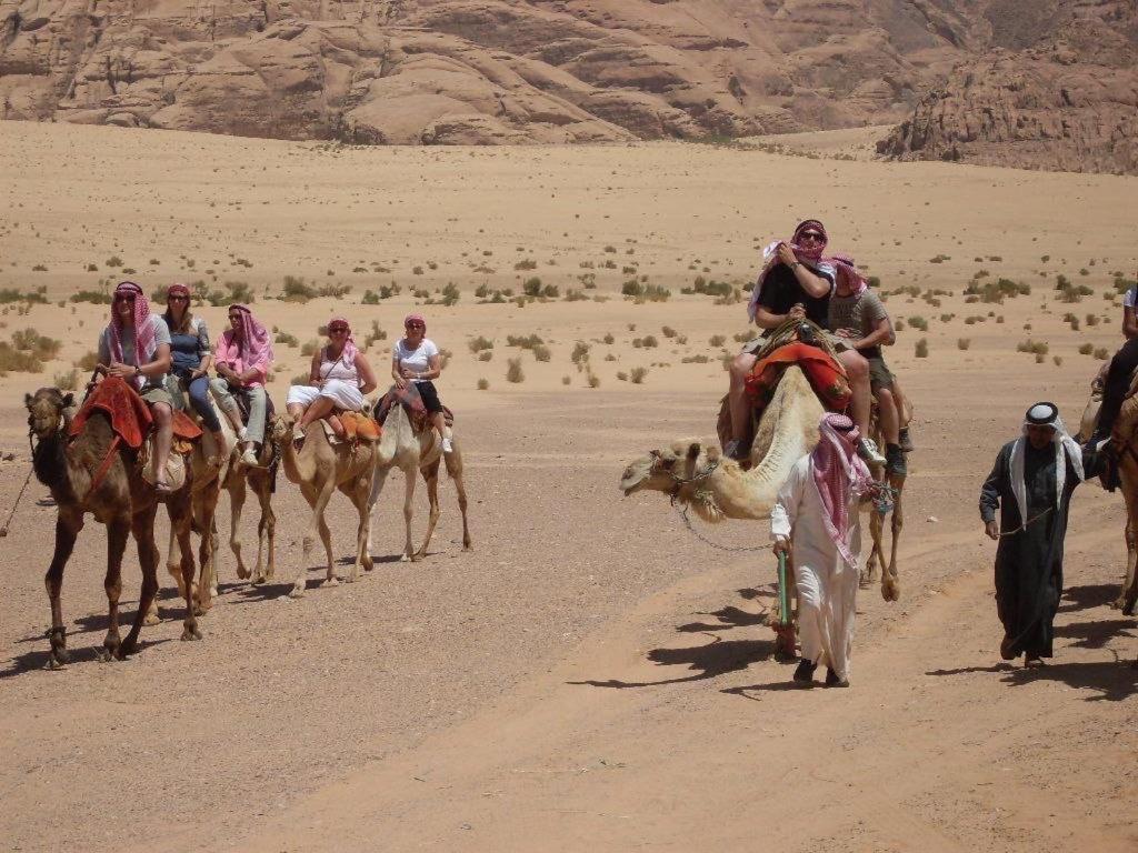 Zawaideh Desert Camp Hotell Wadi Rum Exteriör bild